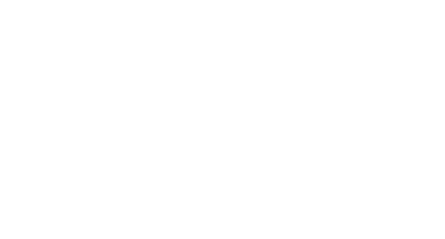 Simple Service Solutions Logo